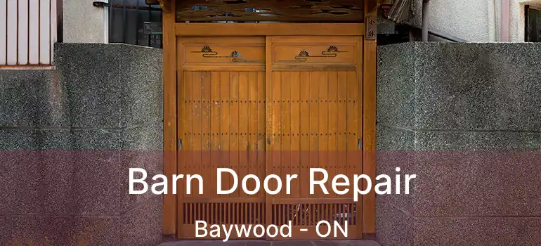  Barn Door Repair Baywood - ON