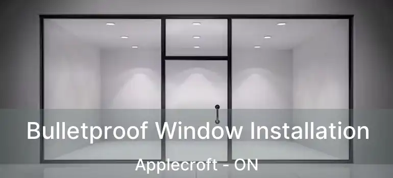  Bulletproof Window Installation Applecroft - ON