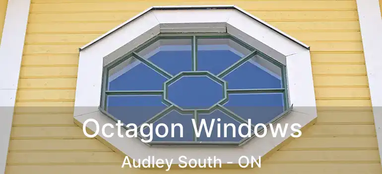 Octagon Windows Audley South - ON