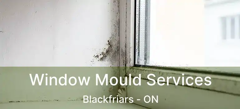  Window Mould Services Blackfriars - ON